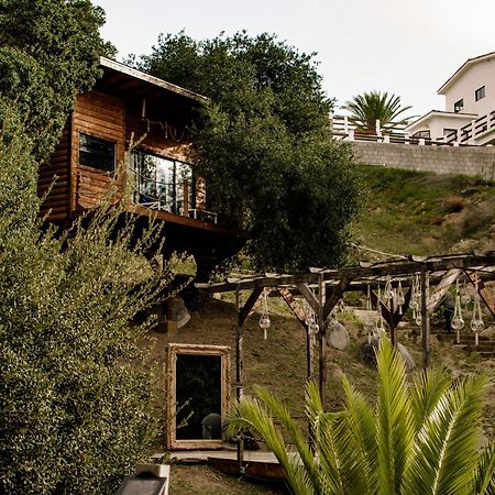 Boskenvid Hotel Boutique, Skypool Valle de Guadalupe Kültér fotó