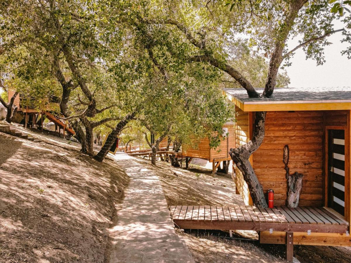 Boskenvid Hotel Boutique, Skypool Valle de Guadalupe Kültér fotó