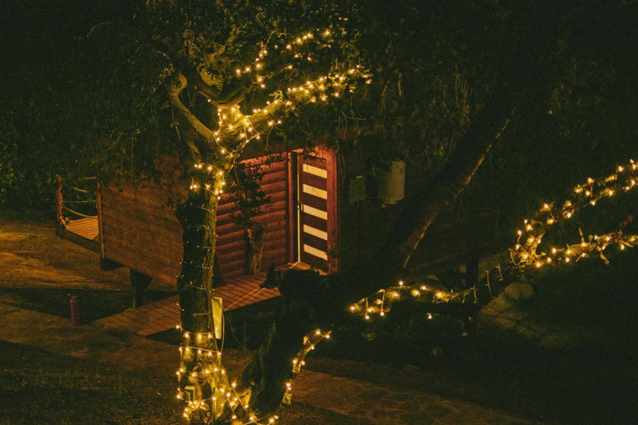 Boskenvid Hotel Boutique, Skypool Valle de Guadalupe Kültér fotó