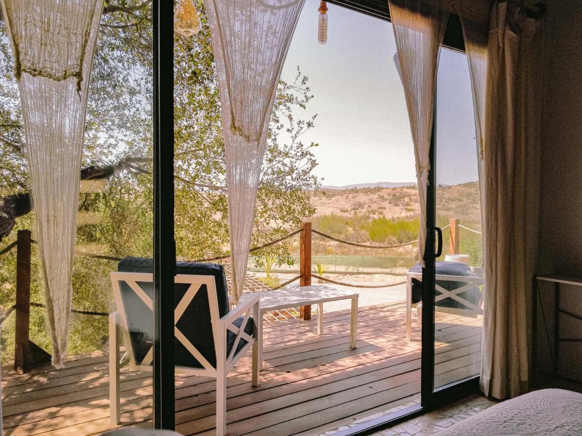 Boskenvid Hotel Boutique, Skypool Valle de Guadalupe Kültér fotó