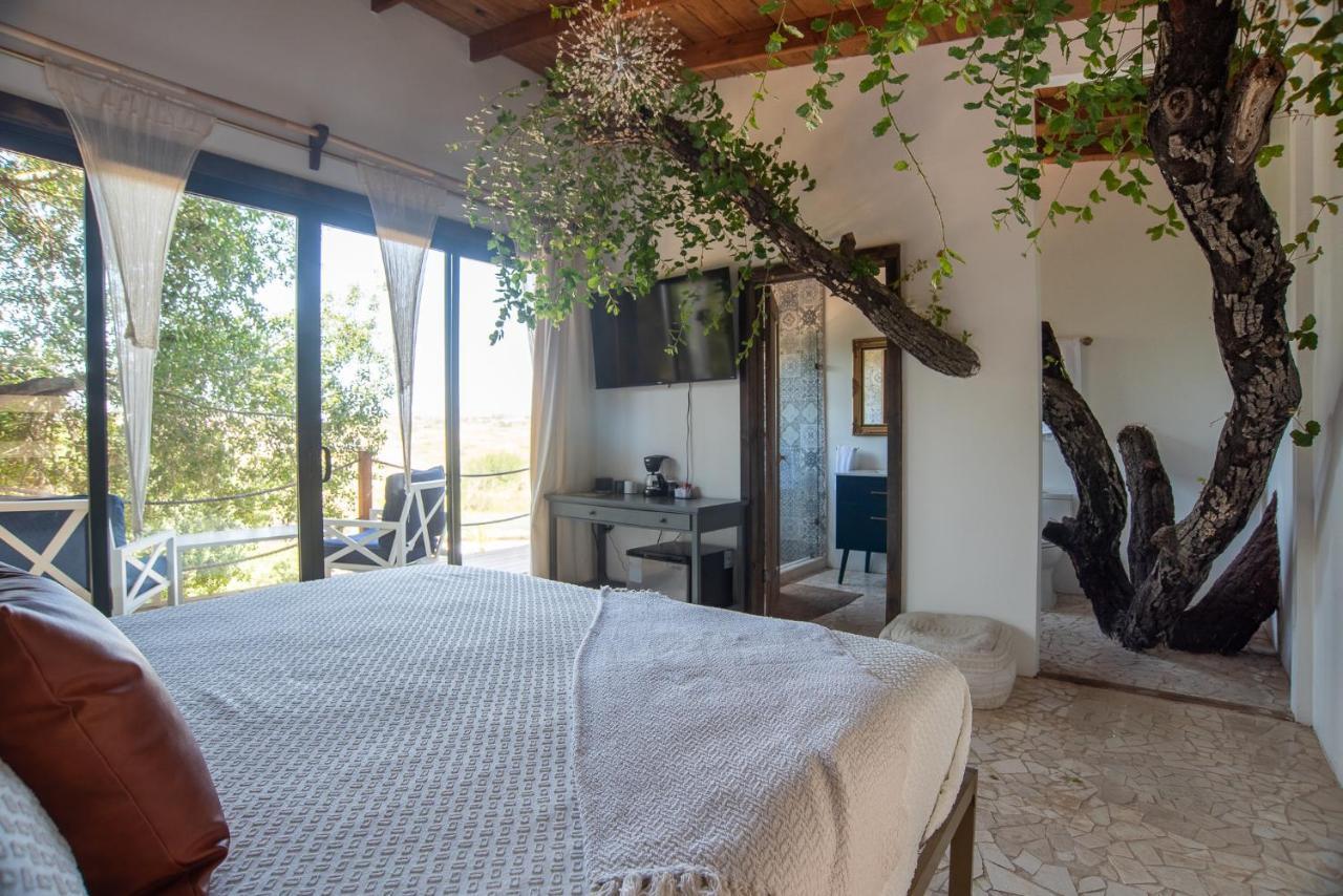 Boskenvid Hotel Boutique, Skypool Valle de Guadalupe Kültér fotó