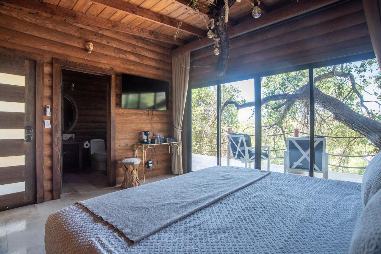 Boskenvid Hotel Boutique, Skypool Valle de Guadalupe Kültér fotó